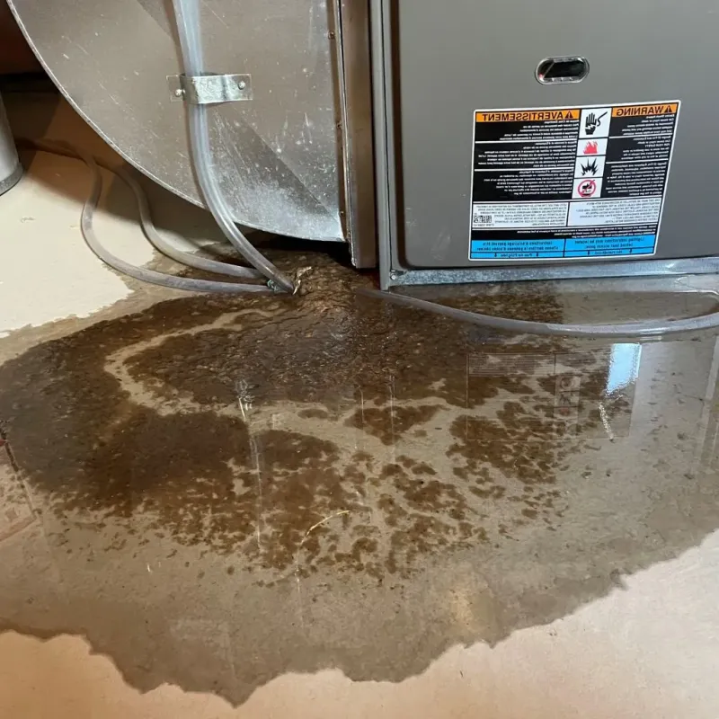 Pipe Burst and Leak Restoration in Phillips, ME