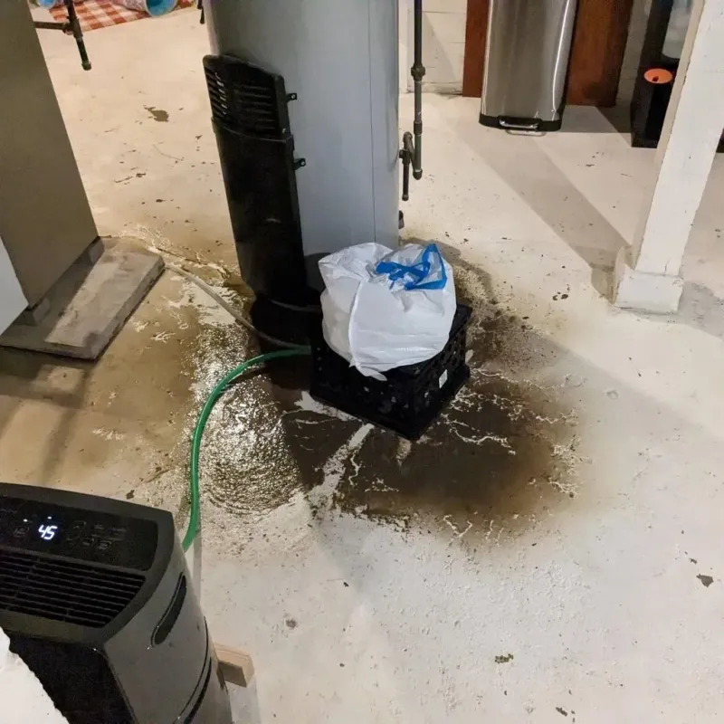 Sewage Backup Cleanup Service in Phillips, ME